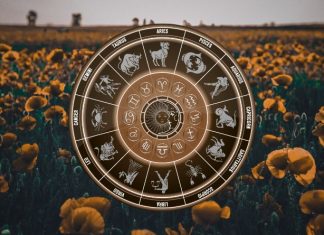 THEY WILL CRY WITH HAPPINESS: These Zodiac Signs Are About to Get a Beautiful Surprise