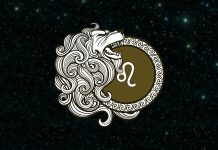 Leo: 3 Zodiac Signs Secretly Dream About Being With You