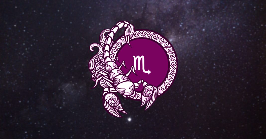8 Scorpio