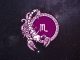 The Breakup Didn’t End Their Feelings: These 3 Zodiac Signs Still Can’t Let Go of Scorpio