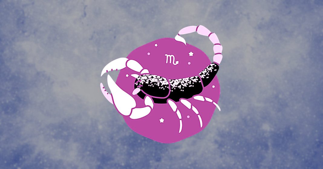 8 Scorpio