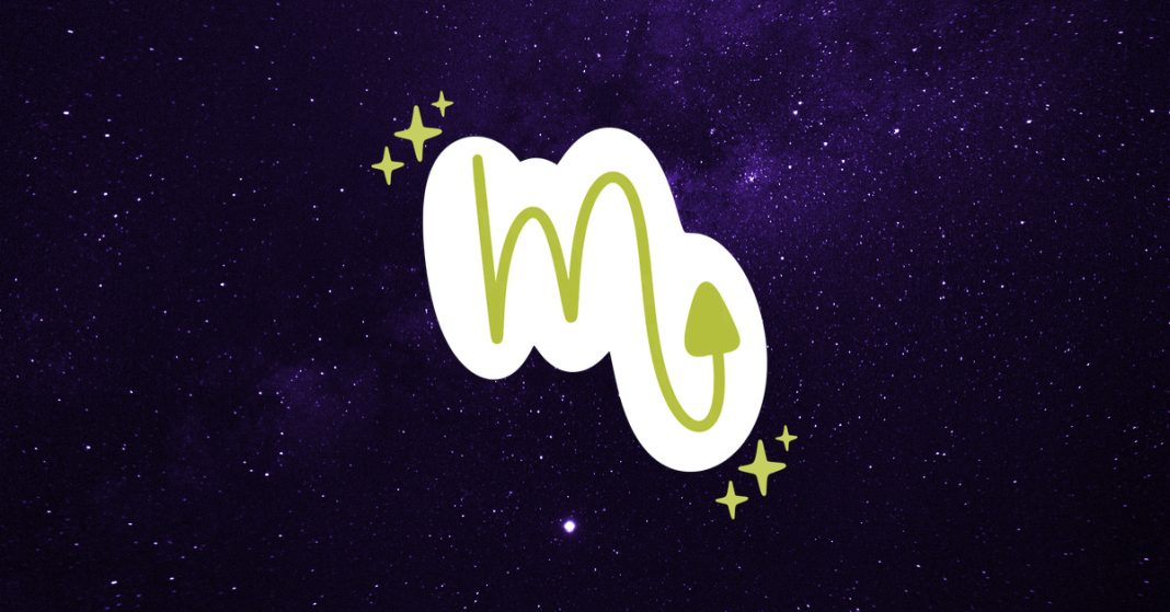 8 Scorpio