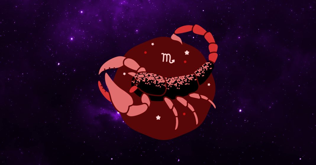 8 Scorpio