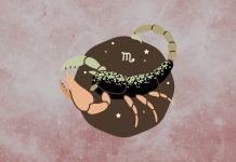 SCORPIO – WOLVES IN SHEEP’S CLOTHING: These 3 Zodiac Signs Pretend to Be Your Friends, But They Don’t Want You to Succeed!