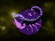 Scorpio, Get Ready! The End of the Week Brings Unexpected News You Never Saw Coming!