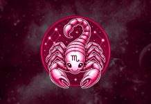 The 3 Zodiac Signs That Dream About Being With Scorpio Scorpio zodiac sign and three zodiac signs dreaming about being with them