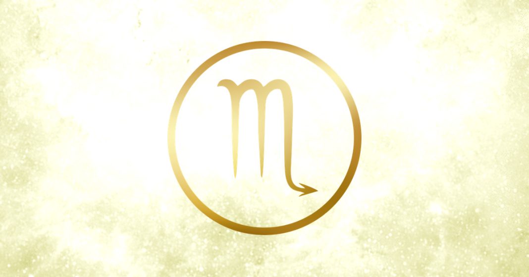 8 Scorpio