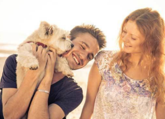 Why Your Dog Chooses a Favorite Person—And Why It Might Not Be the One Who Feeds Them