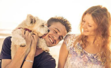 Why Your Dog Chooses a Favorite Person—And Why It Might Not Be the One Who Feeds Them