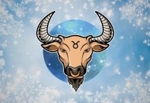 3 Zodiac Signs That Remember Taurus Forever After a Breakup 3 Zodiac Signs That Remember Taurus Forever After a Breakup - featured image